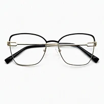 HG 7161 women metal glasses